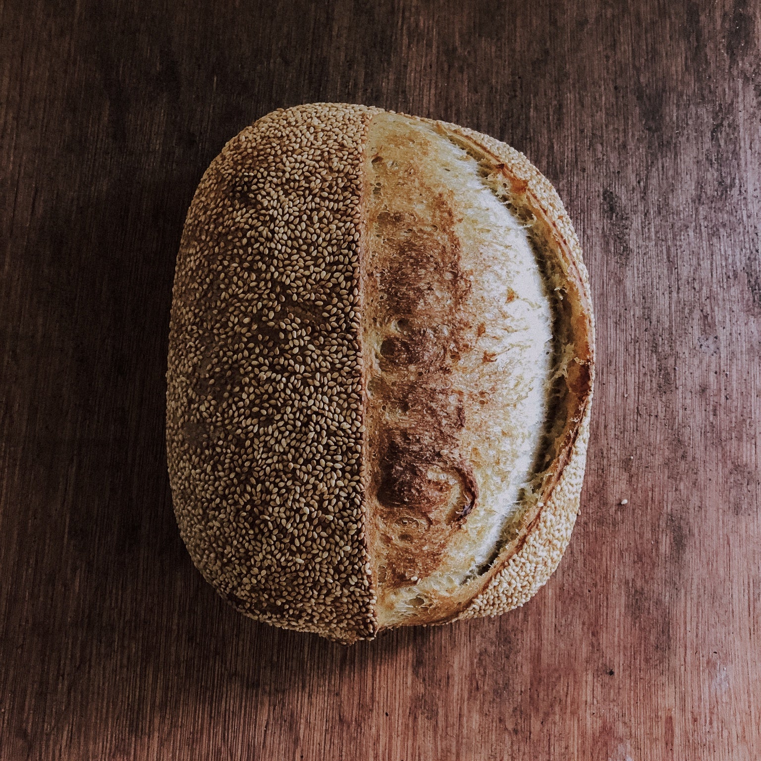 Country Sourdough Loaf Large