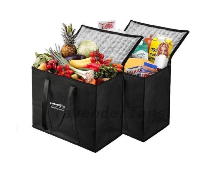 Campus & Co Reusable Cooler Bag 31wx21dx32h