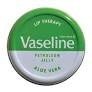 Vaseline Aloe Vera Lip Therapy 20g